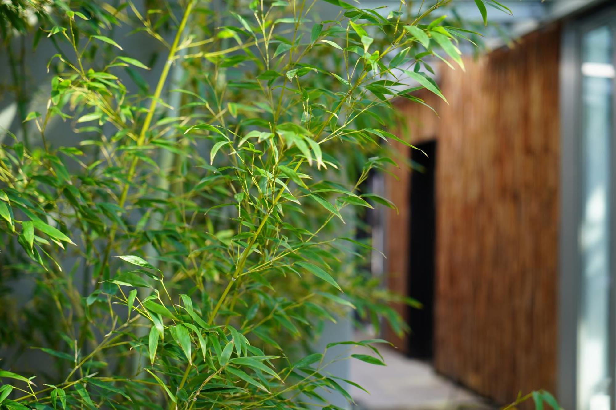 Sly Berlin Hotel Ngoại thất bức ảnh Bamboo