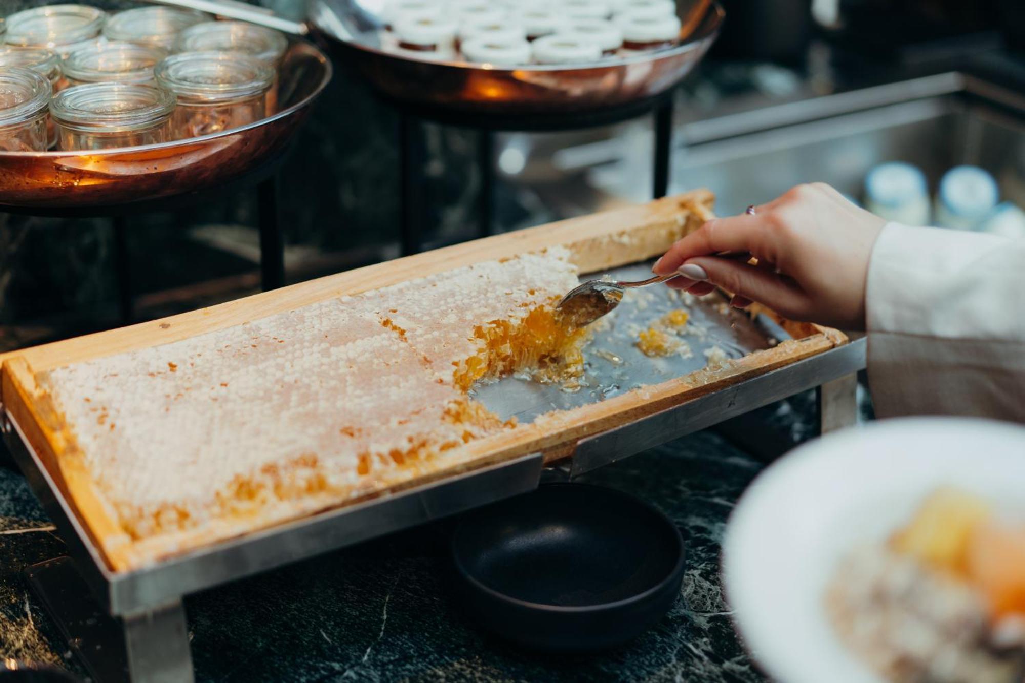 Sly Berlin Hotel Ngoại thất bức ảnh Honeycomb
